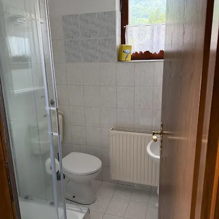 Apartma Marcel * בוהין